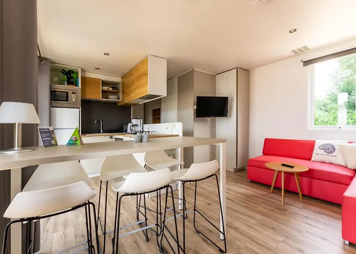 Muschel 48 * Scharbeutz